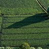 Muensterland Bilder